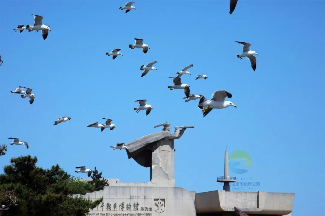 &copy; | 组图 掌上威海
