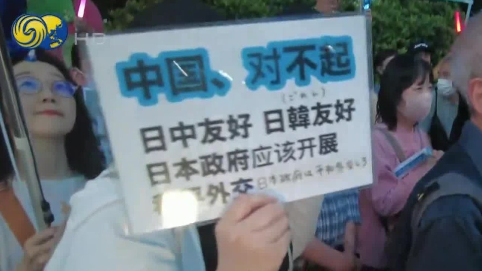 日本万人集会反对政府推动修宪