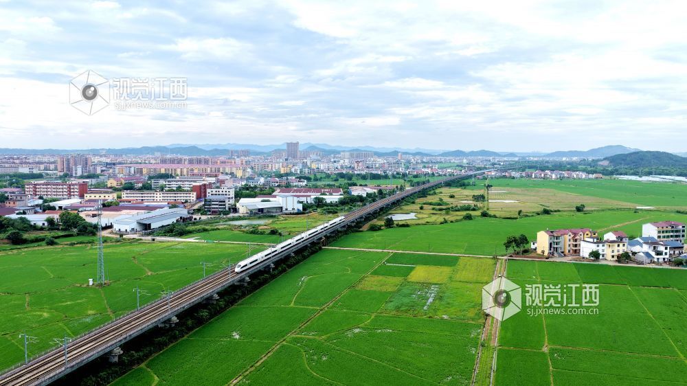 2026年5月18日，江西省吉安市峡江县水边镇义桥村境内，高铁列车飞驰在广阔的绿色田园上，与稻田、民居、青山相映成景，呈现出一幅秀美的乡村田园画卷。