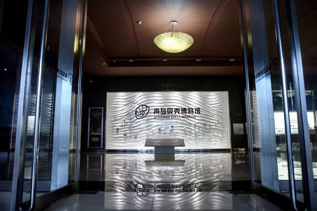 山东每11.3万人拥有一座博物馆 这些宝藏博物馆等你来探秘！