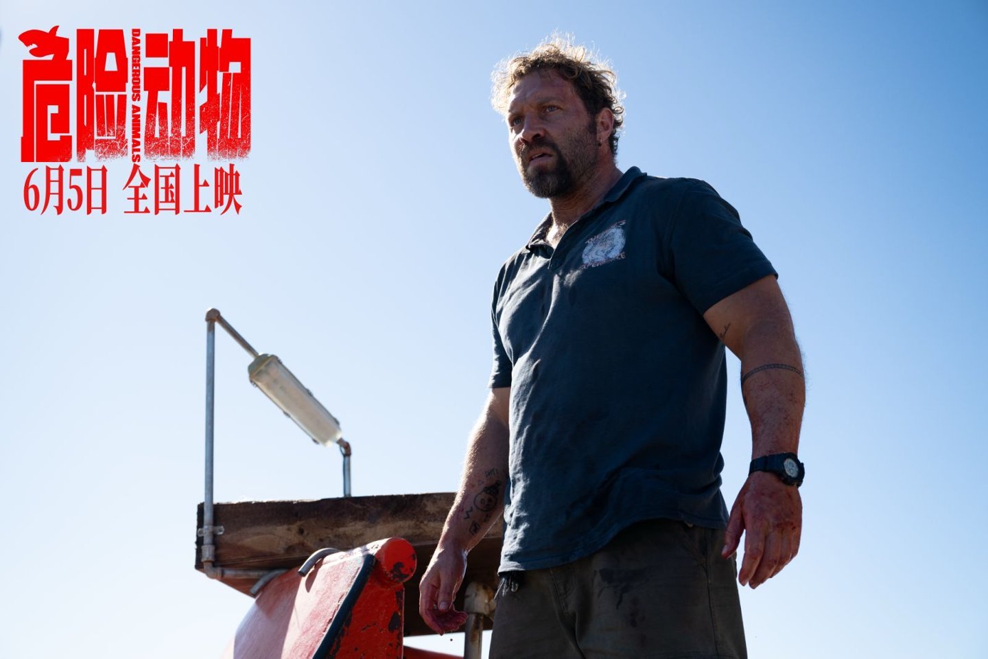 惊悚力作《危险动物》定档6月5日开“鲨”