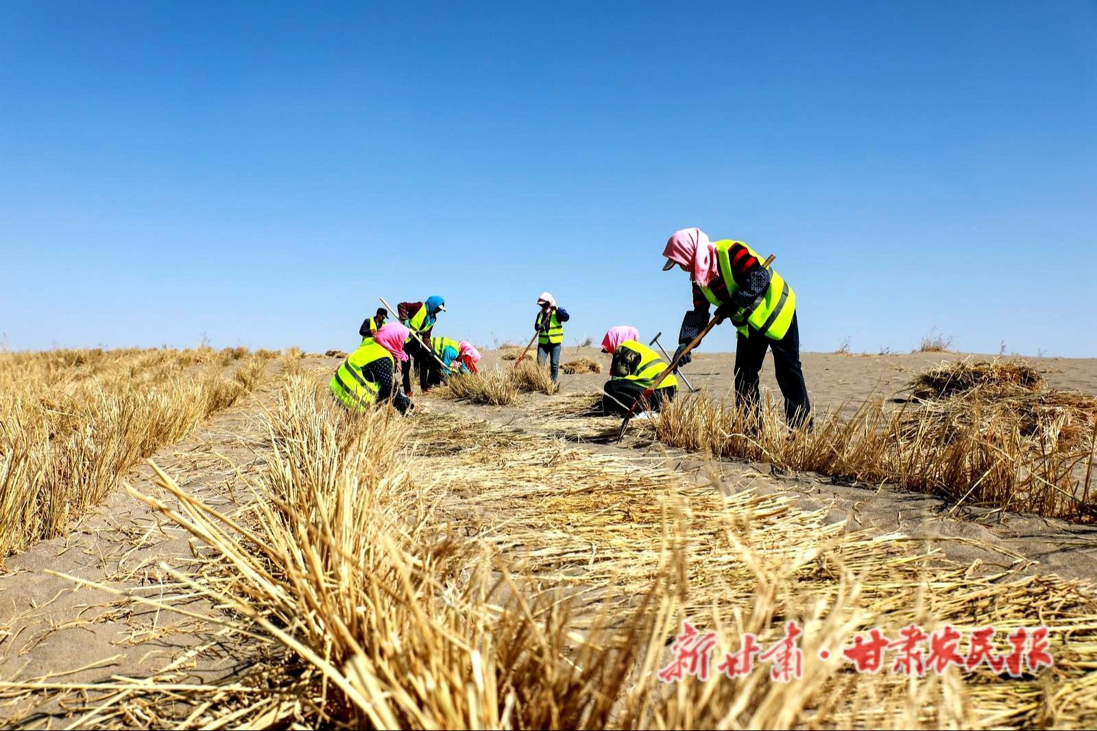 8.人工压沙
