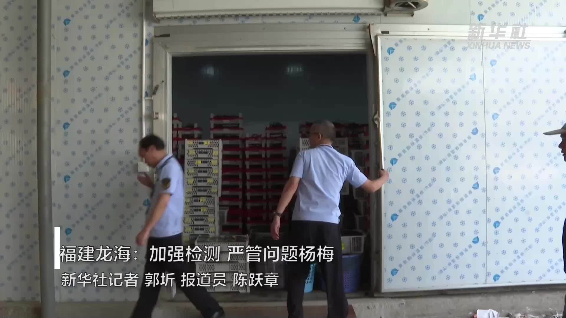 福建龙海：加强检测，严管问题杨梅