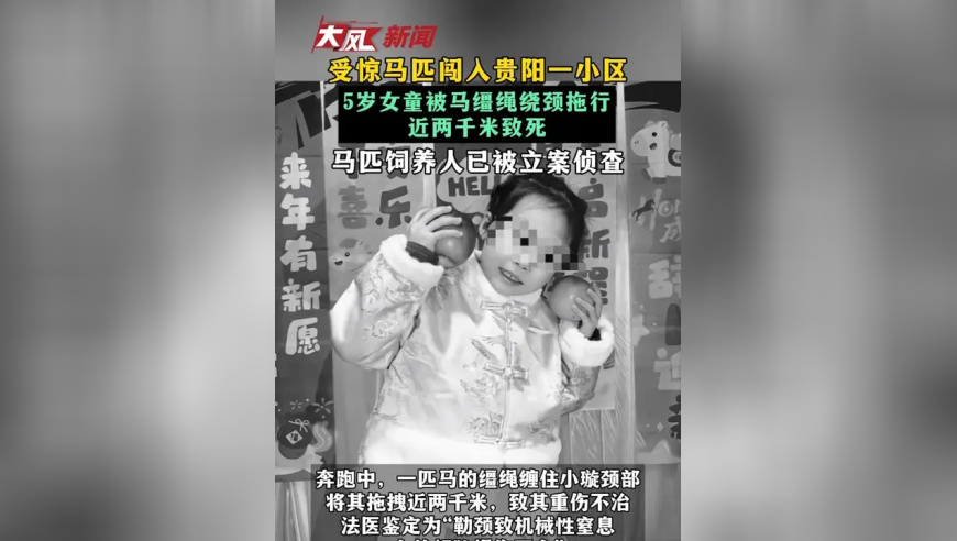 受惊马匹闯入贵阳一小区 5岁女童被马缰绳绕颈拖行近两千米致死 马匹饲养人已被立案侦查