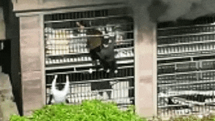 4.gif