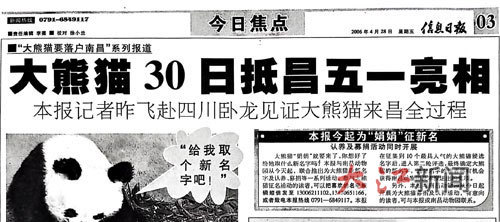 《信息日报》关注大熊猫“娟娟”来昌的报道（报纸版面截图）