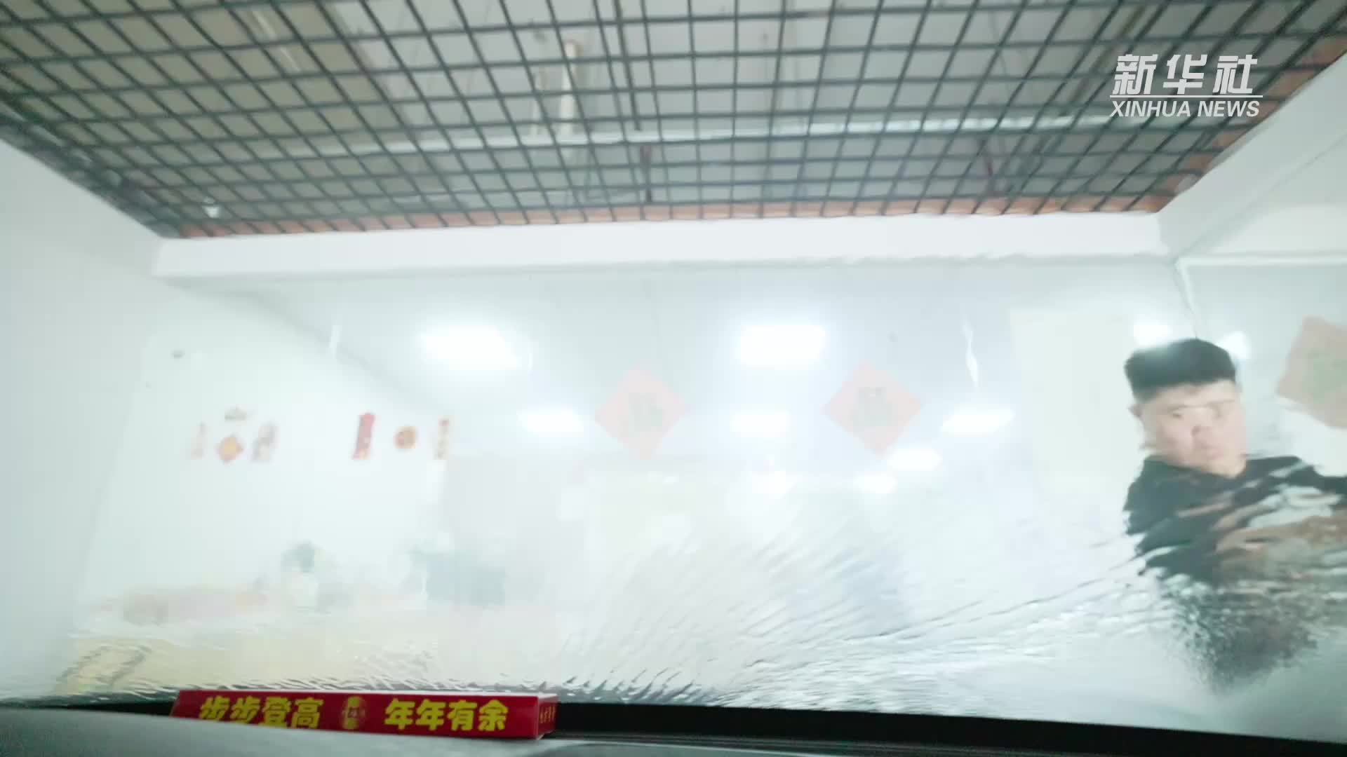 “喜宝儿”的成长