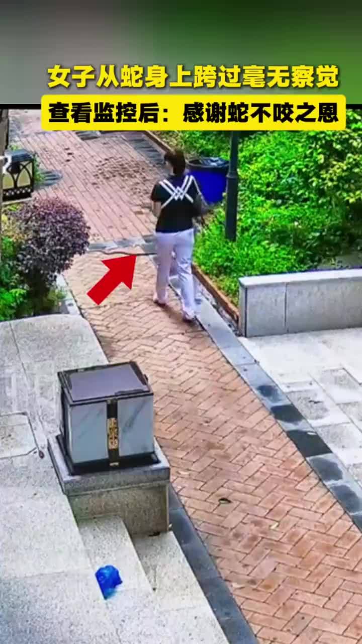 女子从蛇身上跨过毫无察觉