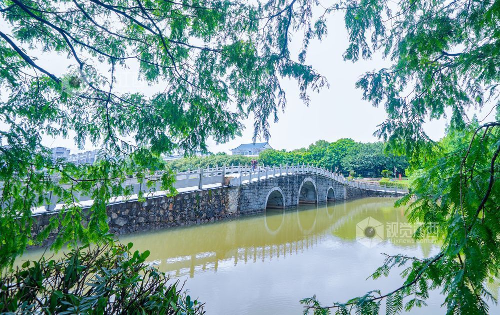 江西金溪：雨后公园意韵浓（图）