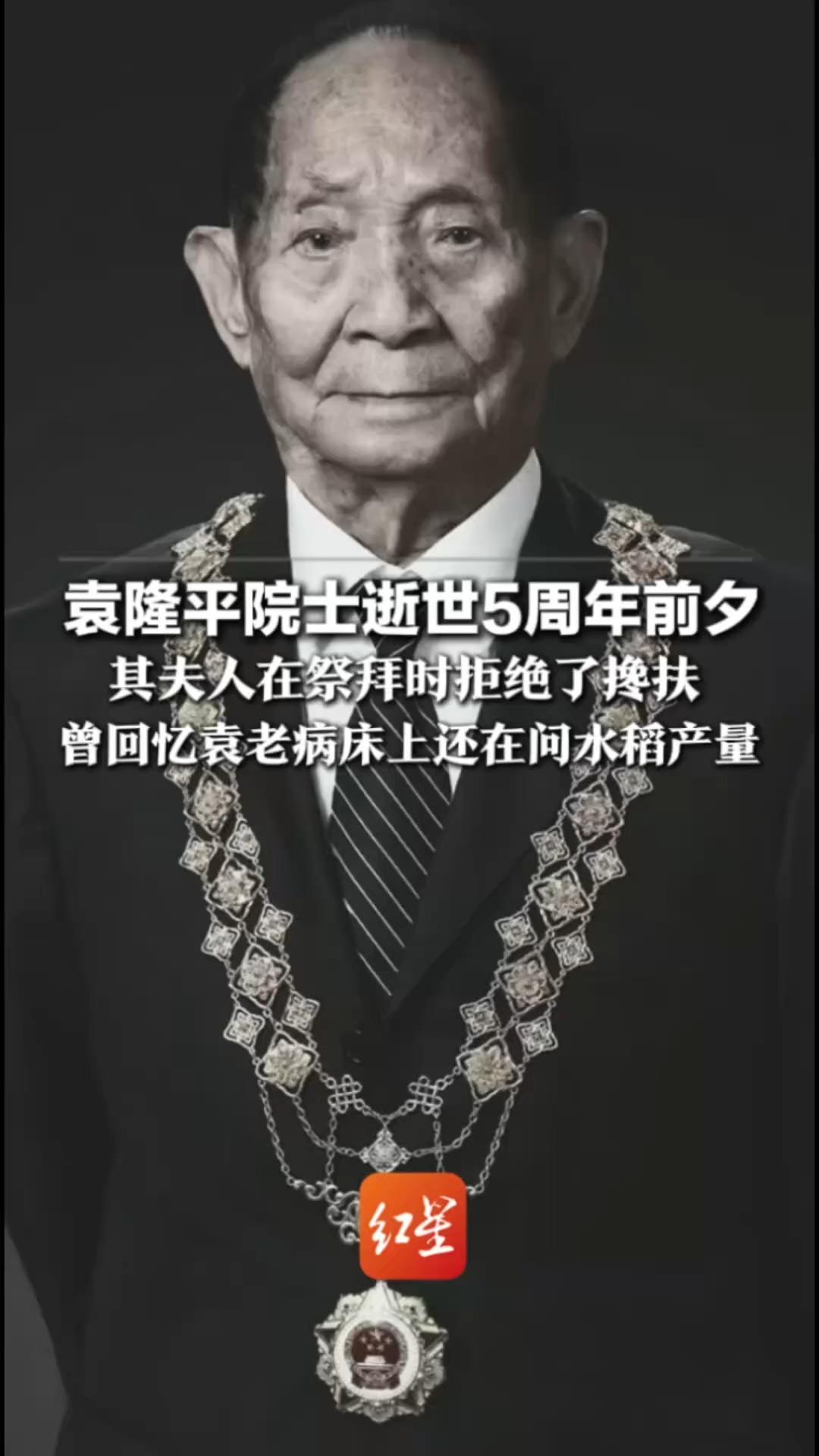 袁隆平院士逝世5周年前夕 其夫人在祭拜时拒绝了搀扶 曾回忆袁老病床上还在问水稻产量 致敬袁老 深切缅怀