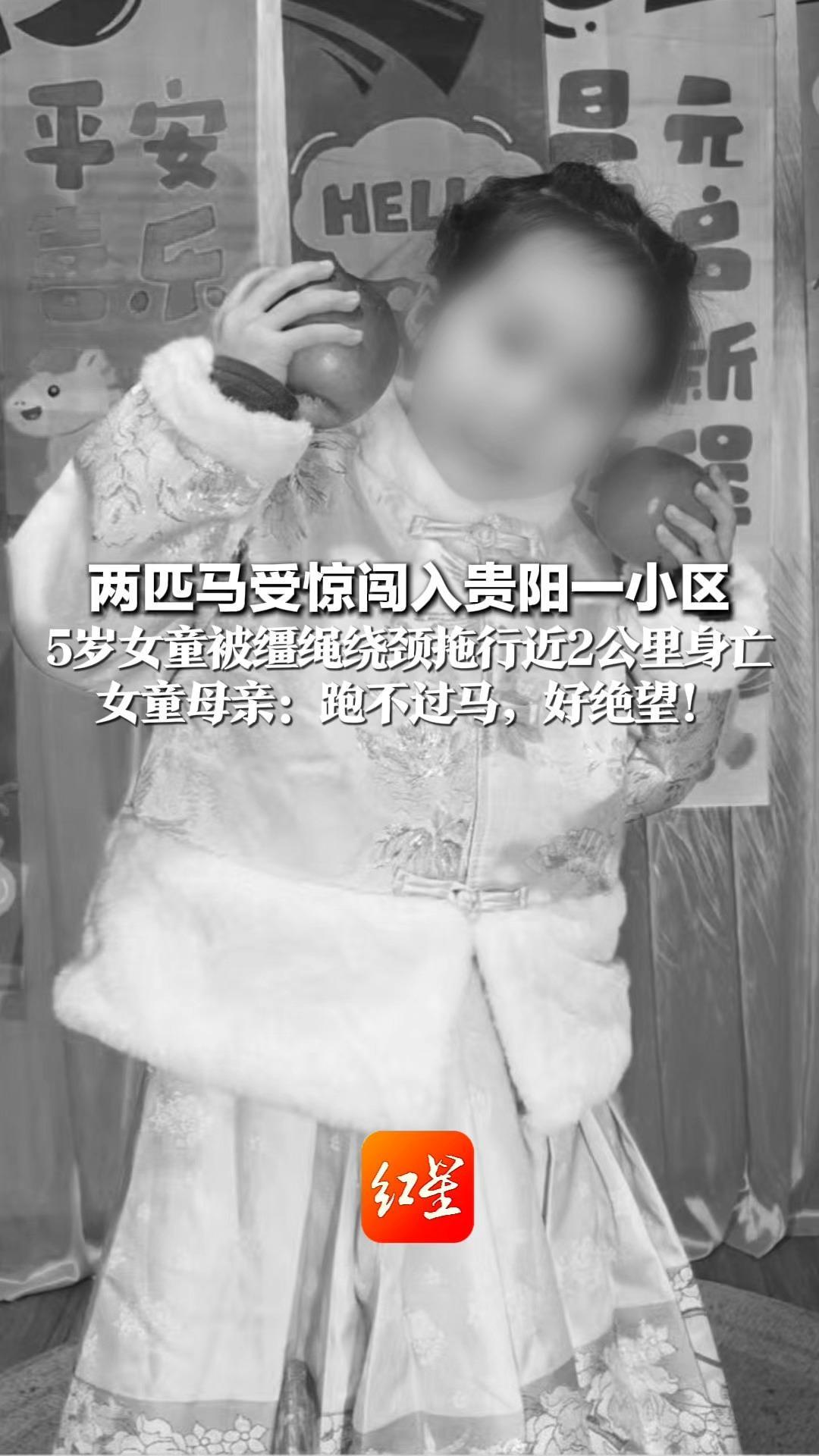 两匹马受惊闯入贵阳一小区 5岁女童被缰绳绕颈拖行近2公里身亡 女童母亲：跑不过马，好绝望！马主涉嫌过失致人死亡被立案