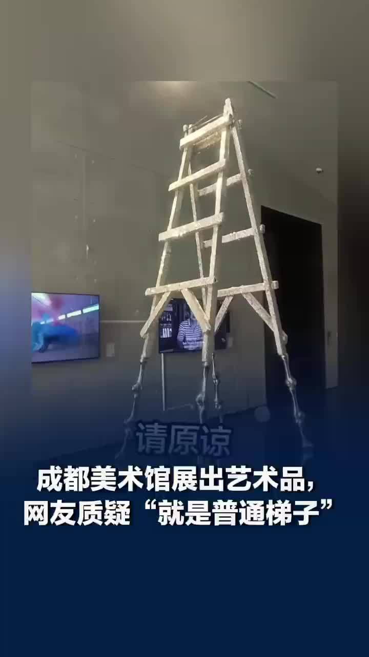 成都美术馆钻石梯子展品引质疑