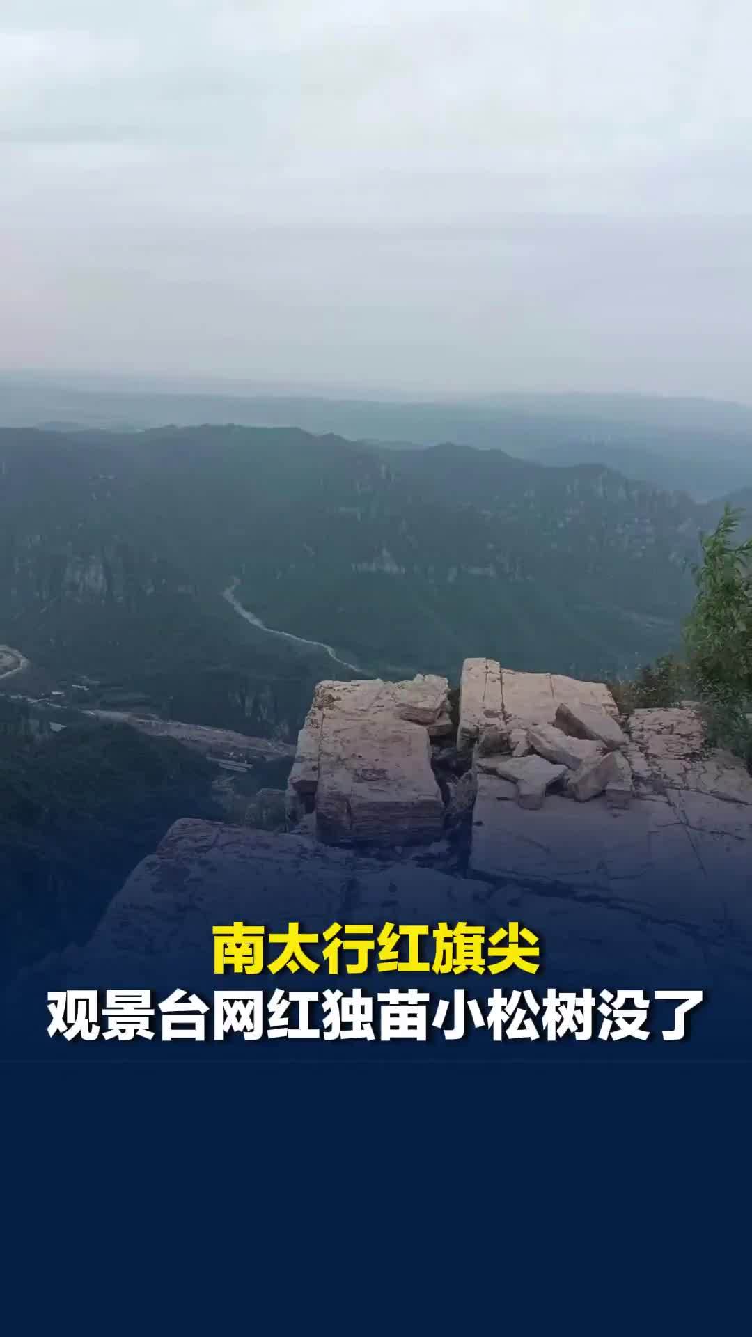 河南南太行红旗尖观景台网红独苗小松树没了，当地村民称已生长四五十年，警方介入调查