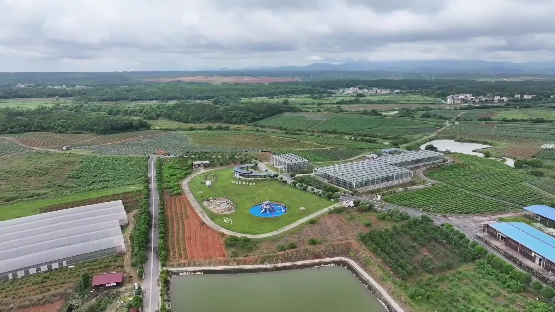 江西南昌：三千亩蓝莓喜丰收 农旅融合助振兴