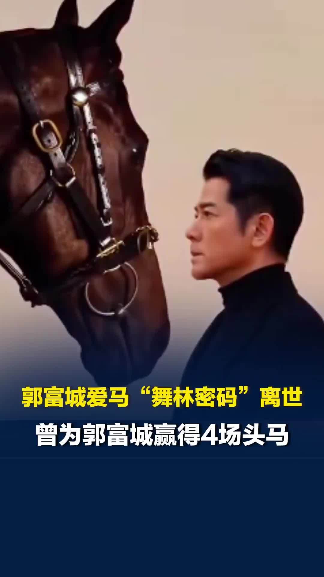 郭富城爱马“舞林密码”离世