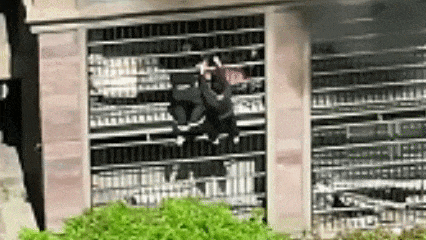 3.gif