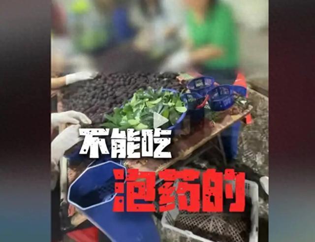 漳州杨梅后续！会长发声求放过，老底被扒不简单，一身名牌惹众怒