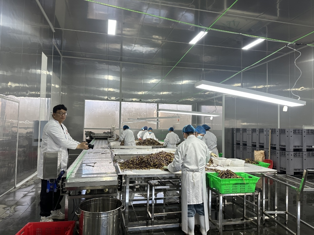 东西部协作｜一颗蕨菜的出海之旅 见证甬凉东西部产业协作累累果实