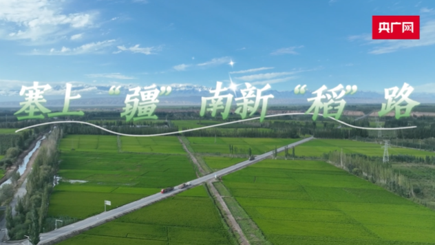 高质量发展看中国丨塞上“疆”南新“稻”路