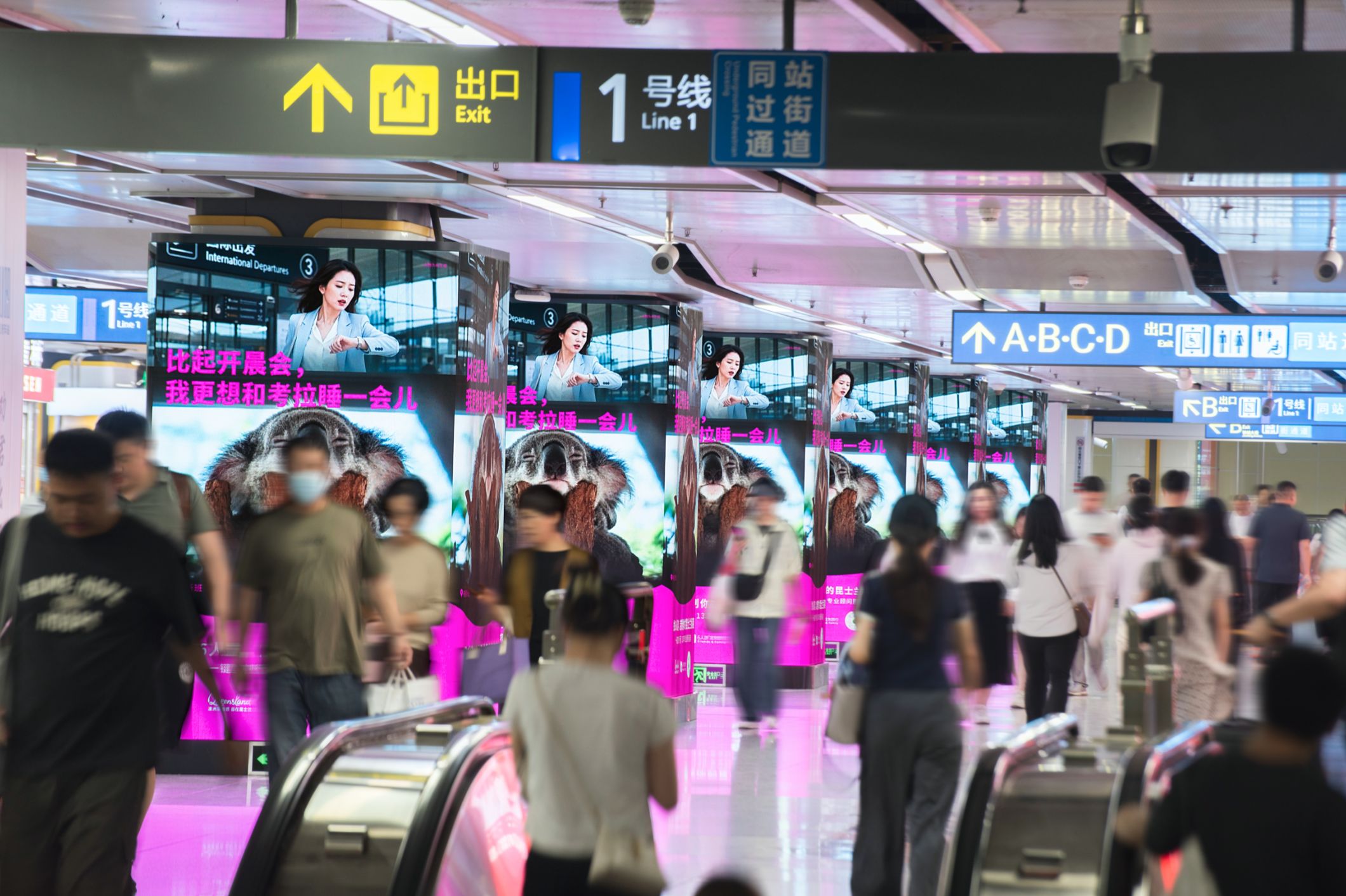 6人游与昆士兰旅游局联合推出创意营销 把“澳洲度假感”搬进城市早高峰