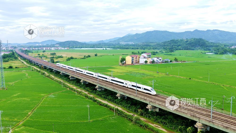 2026年5月18日，江西省吉安市峡江县水边镇义桥村境内，高铁列车飞驰在广阔的绿色田园上，与稻田、民居、青山相映成景，呈现出一幅秀美的乡村田园画卷。