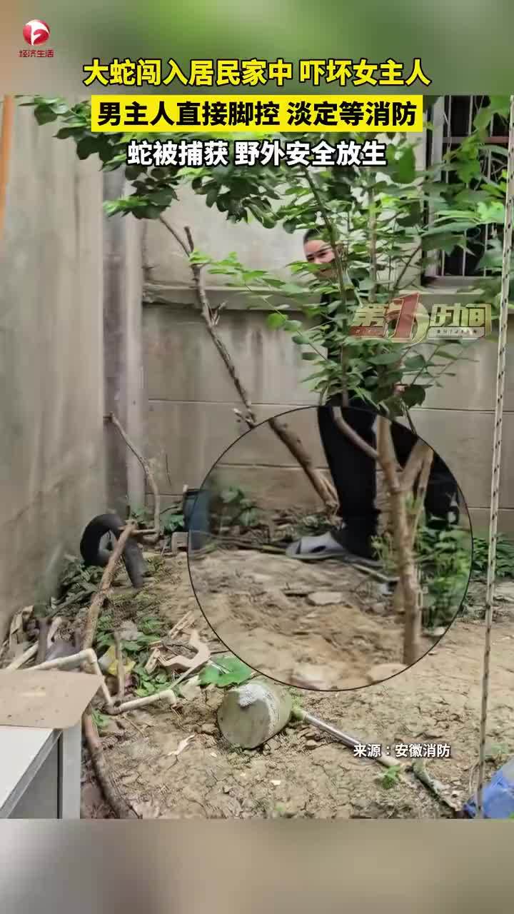大蛇进家吓跑女主人丈夫淡定踩蛇