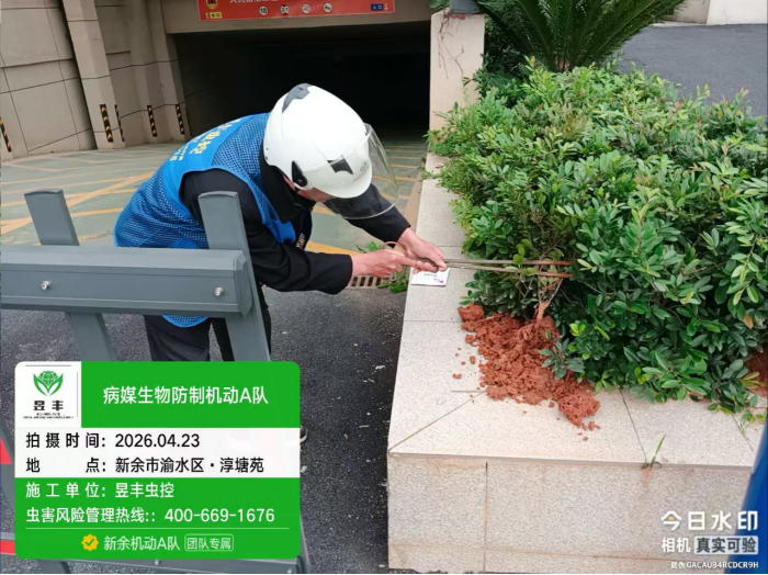 当心红火蚁！新余路边这种“小土堆”别碰 严重可致命（图）