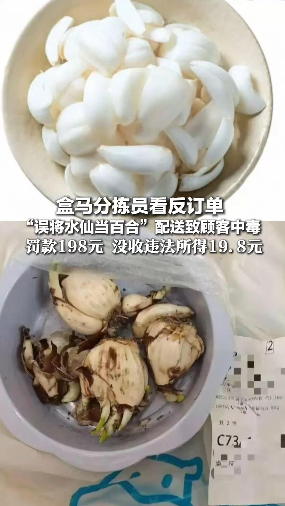 盒马分拣员看反订单 “误将水仙当百合”配送致顾客中毒 市监局公布处罚决定：罚款198元 没收违法所得19.8元