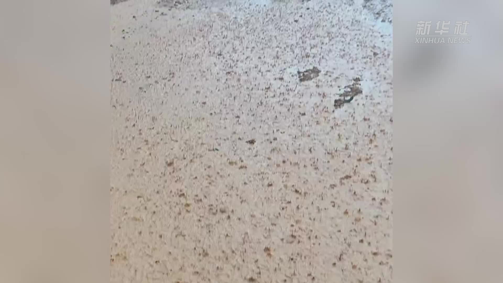 广东阳江遭遇特大暴雨袭击 已紧急避险转移近万人