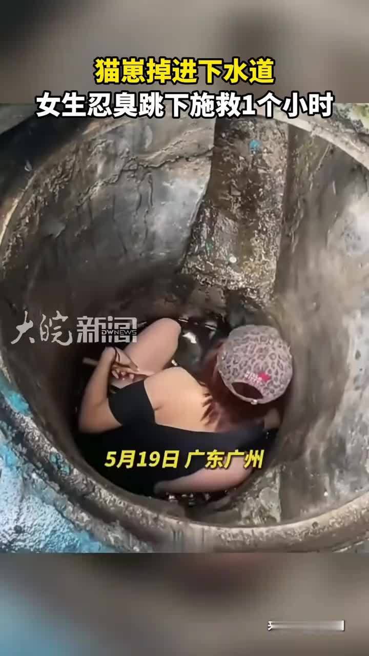 猫崽掉进下水道 女生忍臭跳下施救1个小时