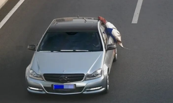 合肥一男子买40斤大鱼挂车窗炫耀，第二天被叫到交警队