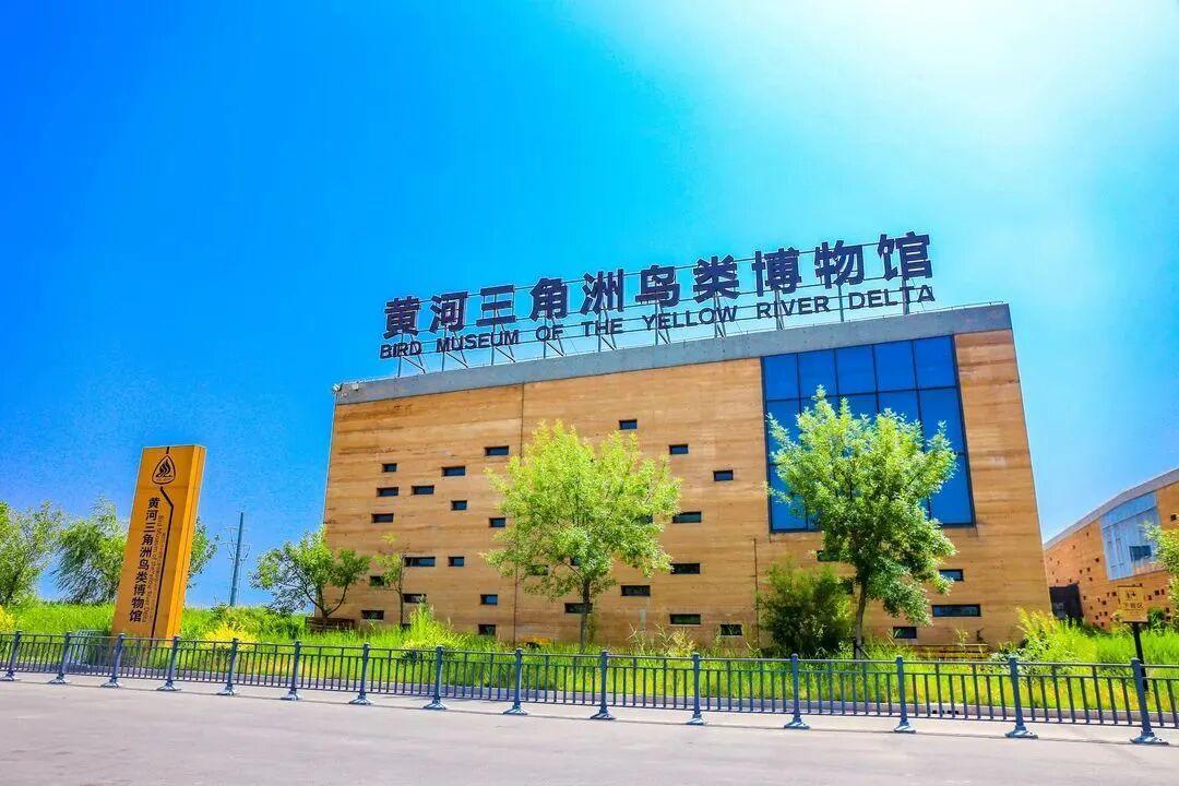 山东每11.3万人拥有一座博物馆 这些宝藏博物馆等你来探秘！