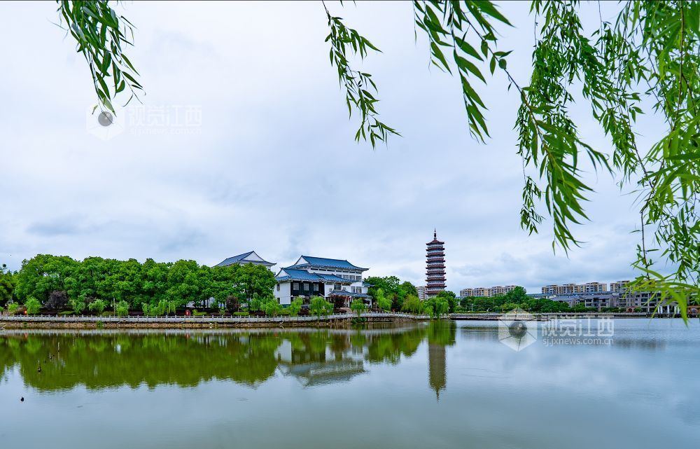江西金溪：雨后公园意韵浓（图）