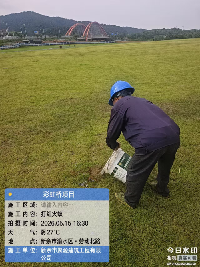 当心红火蚁！新余路边这种“小土堆”别碰 严重可致命（图）