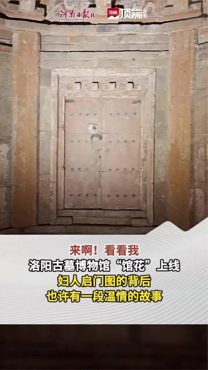 “馆花”上线！打卡洛阳古墓博物馆的宋代浪漫