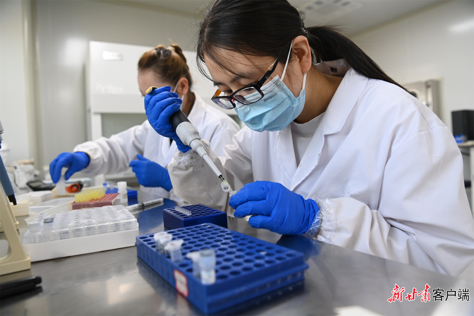 肃州区国家现代农业（种业）产业园实验室里，工作人员培育种子。新甘肃&middot;甘肃日报记者　丁凯　摄