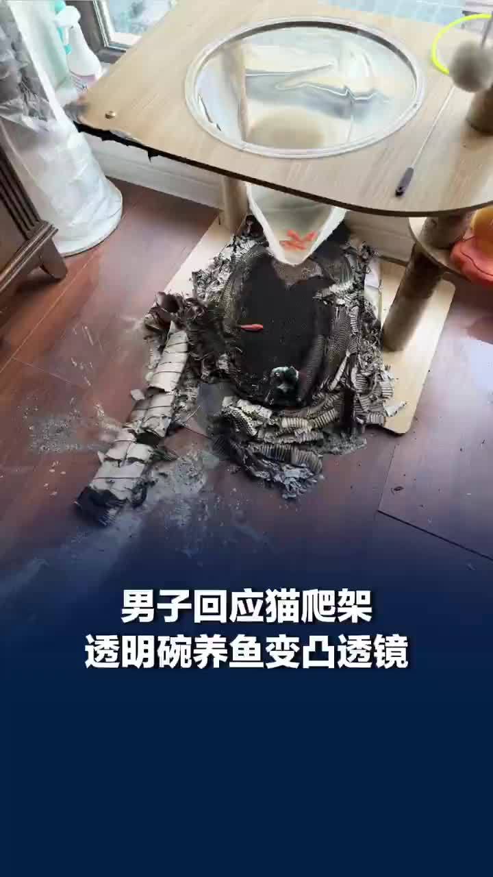 猫爬架透明碗养鱼变凸透镜引火灾