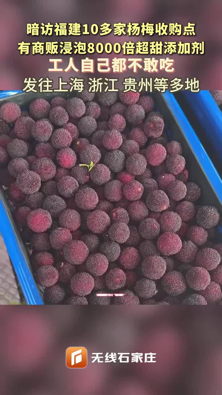 福建漳州通报泡药杨梅事件