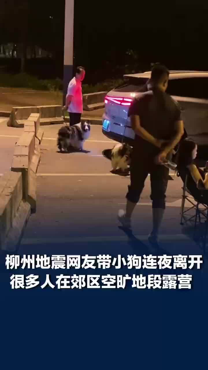 柳州地震女子带小狗和家人连夜离开，柳州地震多人在郊区空旷地段露营