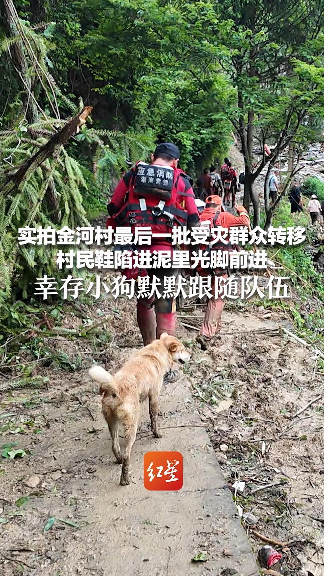 实拍金河村最后一批受灾群众转移 村民鞋陷进泥里光脚前进 幸存小狗默默跟随队伍 村干部：金河村永远没有了