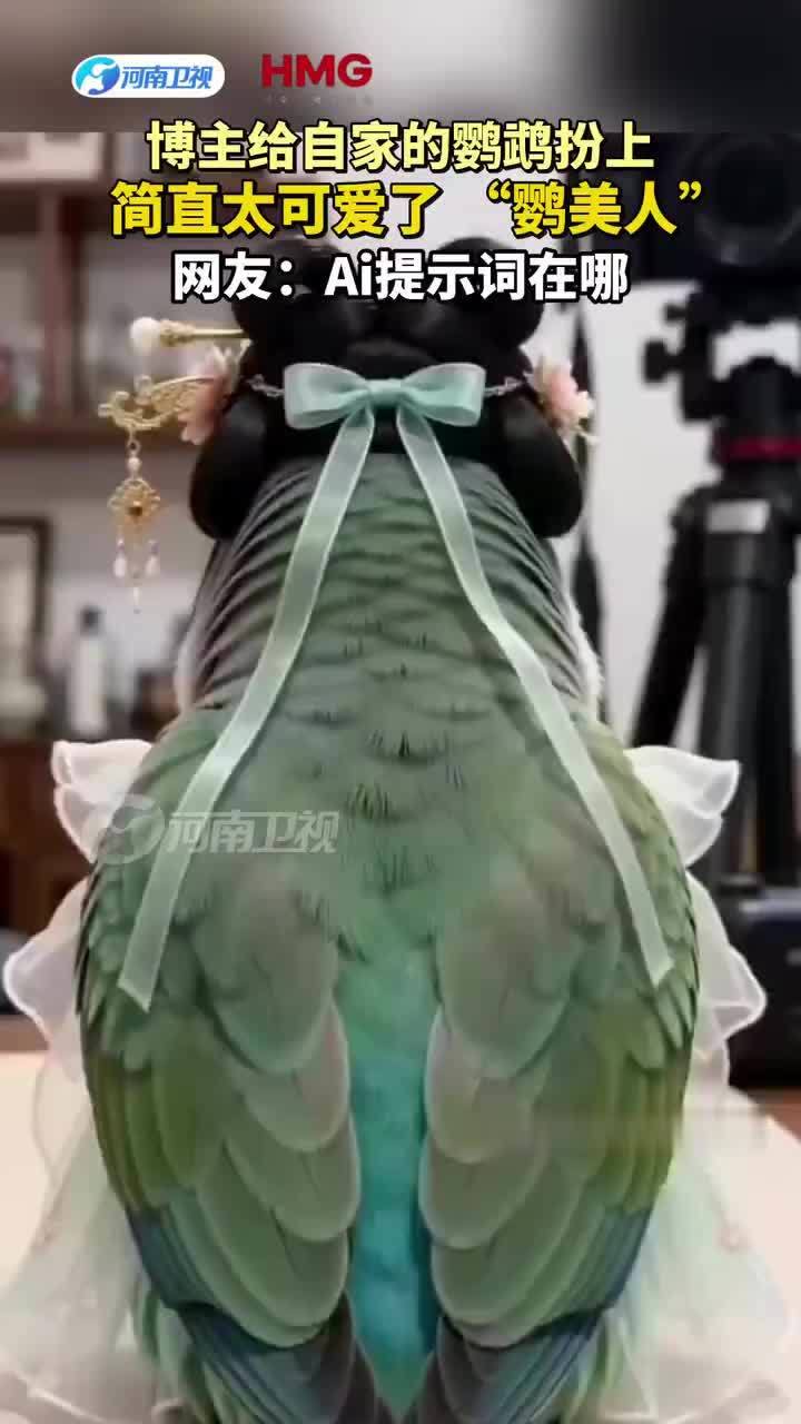 好一个鹦美人！主人把自家鹦鹉打扮成鹦美人