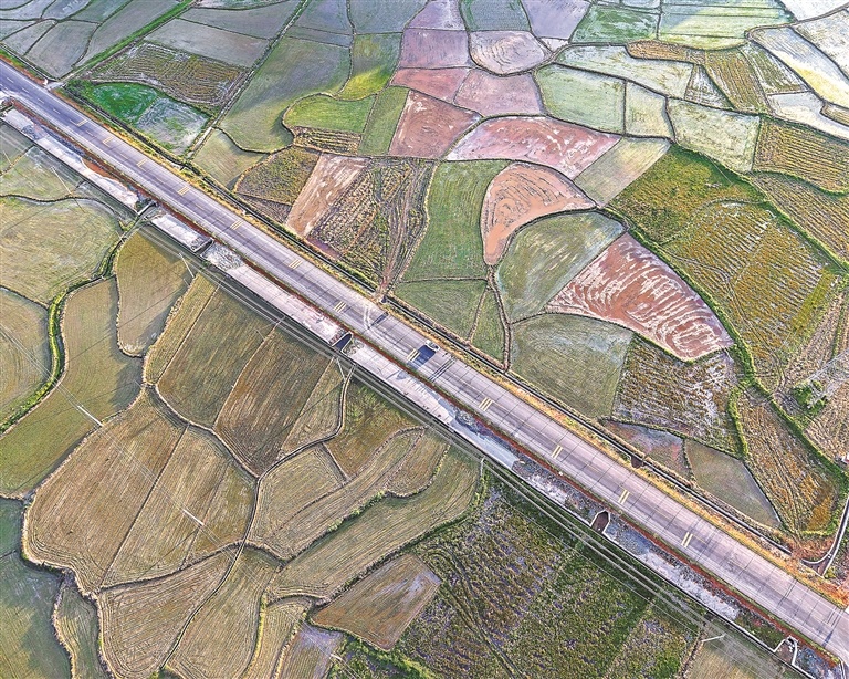 乡村如画（图）