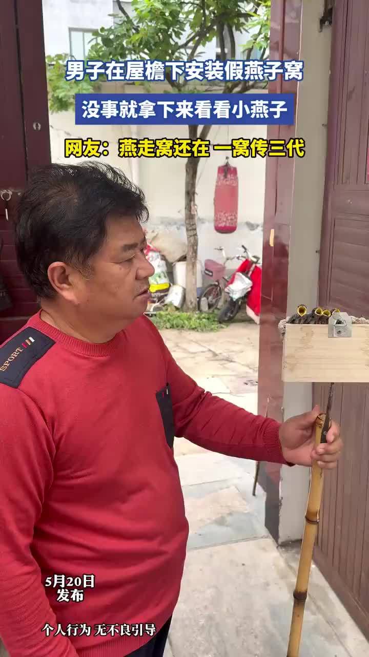 男子在屋檐下安装假燕子窝，网友：这是给燕子建了个小区