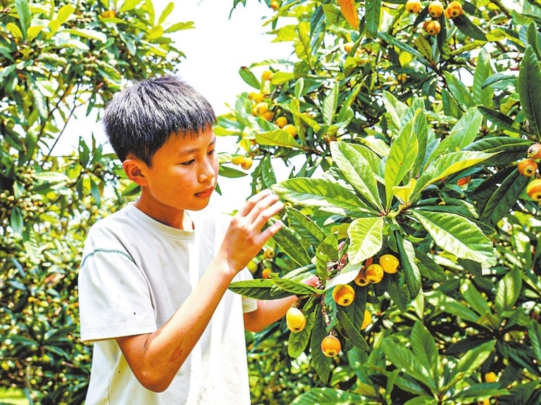 九江：邂逅初夏的一场浪漫（图）