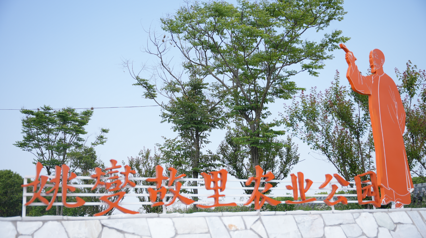 姚张村照片