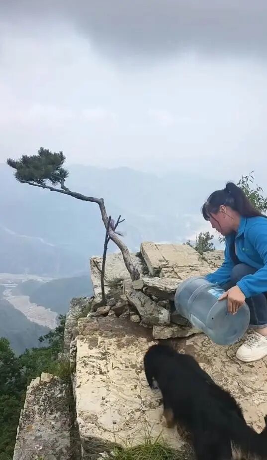 村民给还回的松树浇水,图源:视频截图