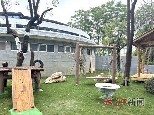 室外展区增设多种设施可供熊猫玩耍
