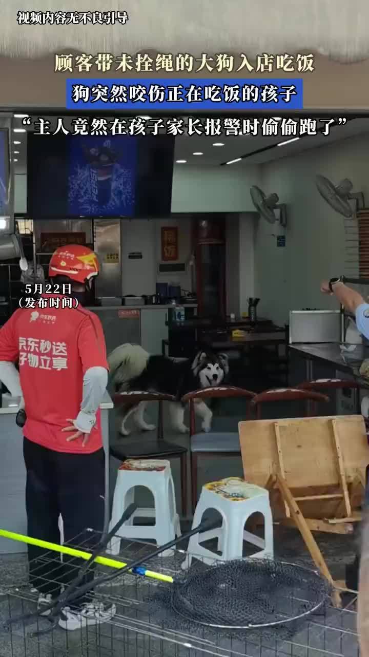 哈士奇咬伤儿童狗主人趁报警时溜走