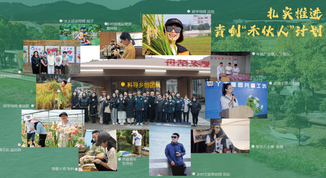 青创“禾伙人”计划
