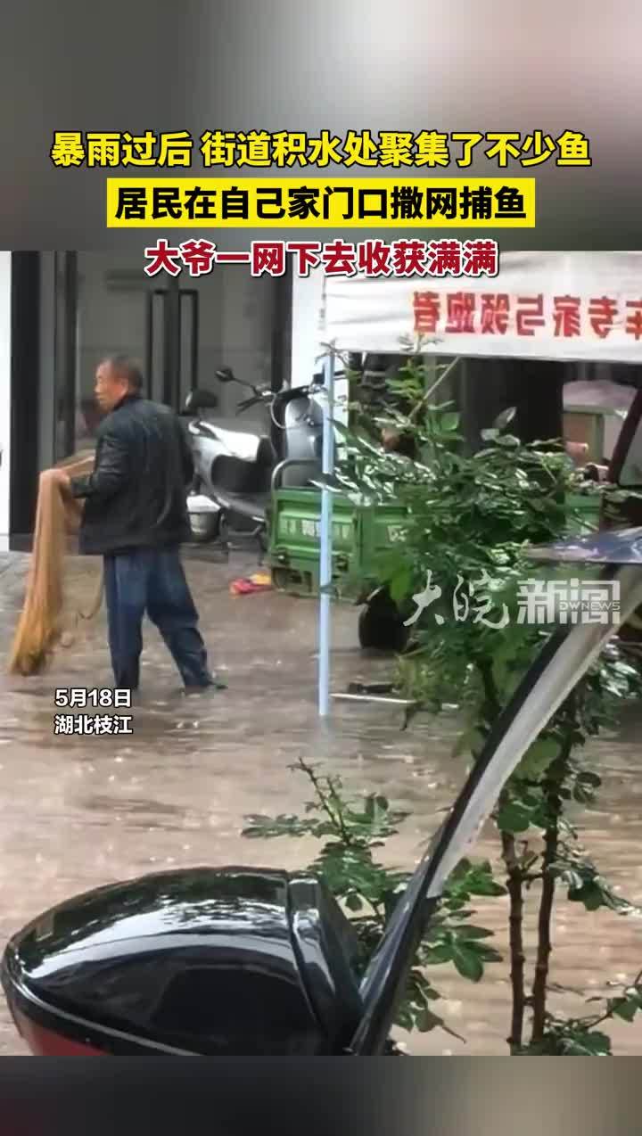 暴雨过后，街道积水处聚集了不少鱼，居民在自己家门口撒网捕鱼，大爷一网下去收获满满